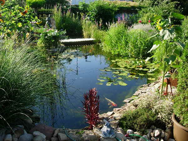Teich_f�r_Gartenzwerge